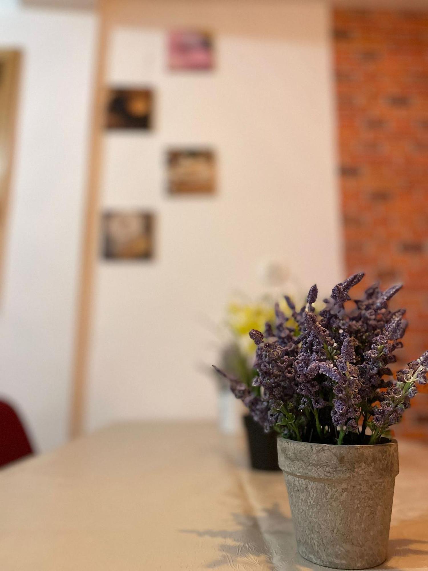 Mossapartments Bucharest Luaran gambar